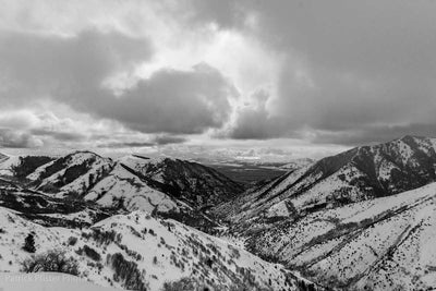 Windy, Warm, Wet, and Wild